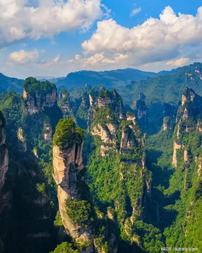 暑假亲子专属张家界5天4晚：跟团夜游芙蓉镇遛娃必选方案(图2)